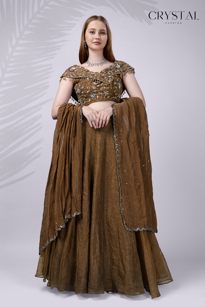 Brown Organza Western Lehenga Choli – Hand Embroidery Work