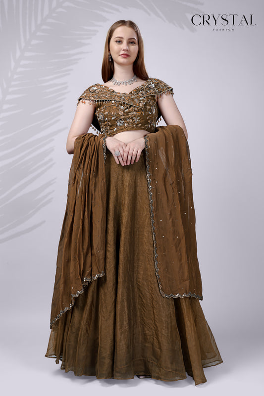 Brown Organza Western Lehenga Choli – Hand Embroidery Work