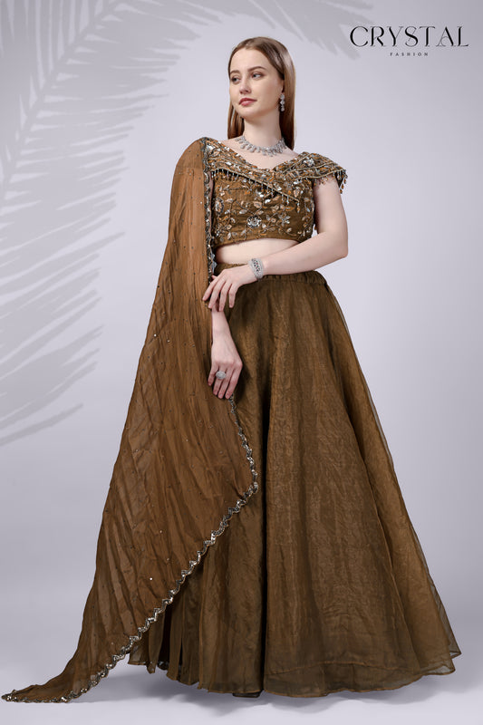 Brown Organza Western Lehenga Choli – Hand Embroidery Work